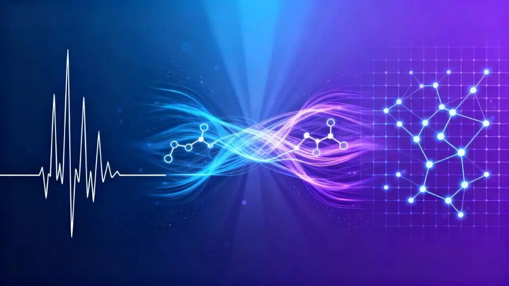 微信图片_2025-12-31_095355_883.jpg 微信图片_2025-12-31_095355_883.jpg