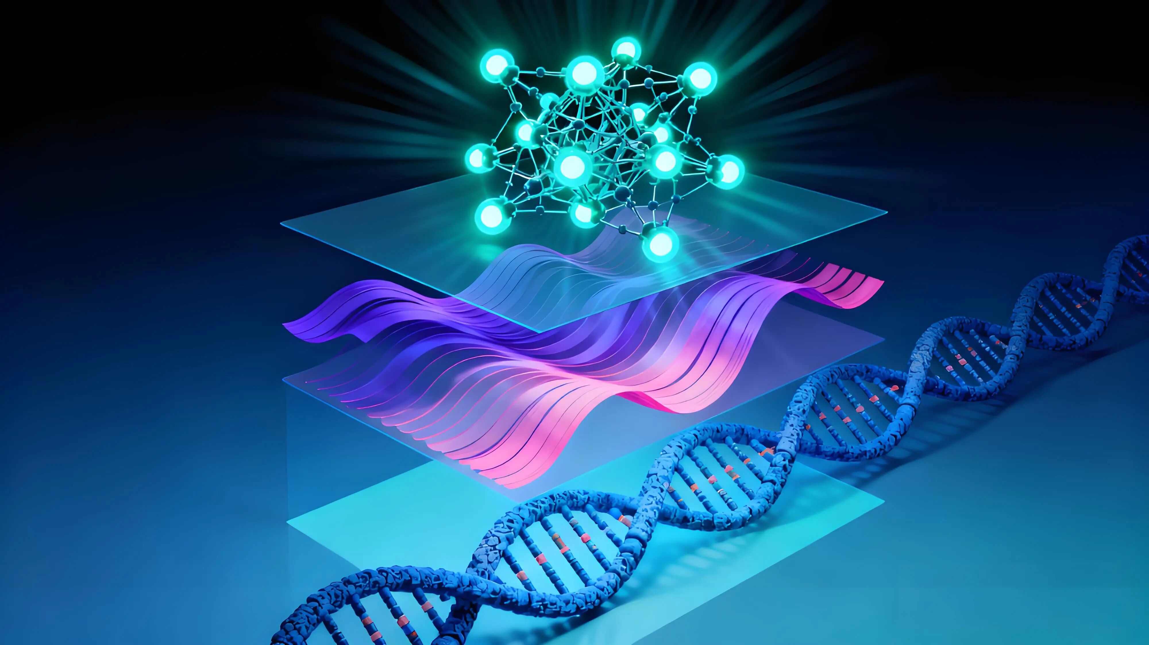 微信图片_2025-12-31_140628_775.jpg 微信图片_2025-12-31_140628_775.jpg