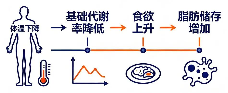 微信图片_2025-12-31_143416_939.jpg 微信图片_2025-12-31_143416_939.jpg