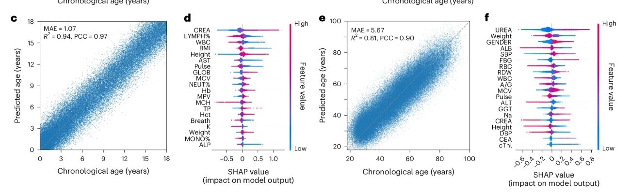 微信图片_2025-12-31_155558_936.jpg 微信图片_2025-12-31_155558_936.jpg
