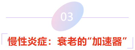 0f801c58-b34a-486e-9842-9cc0ebd61f64.png 0f801c58-b34a-486e-9842-9cc0ebd61f64.png